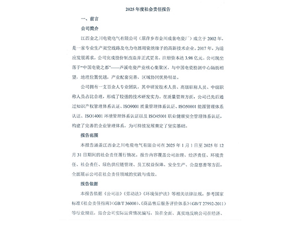 2025年度社会责任报告